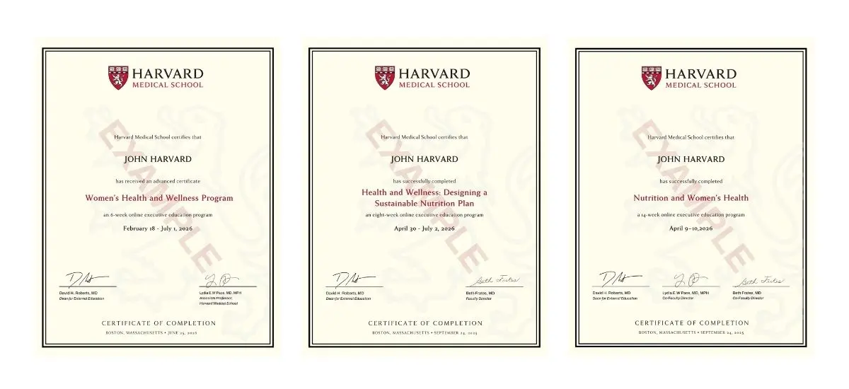 Example image of certificate that will be awarded once you successfully complete the course