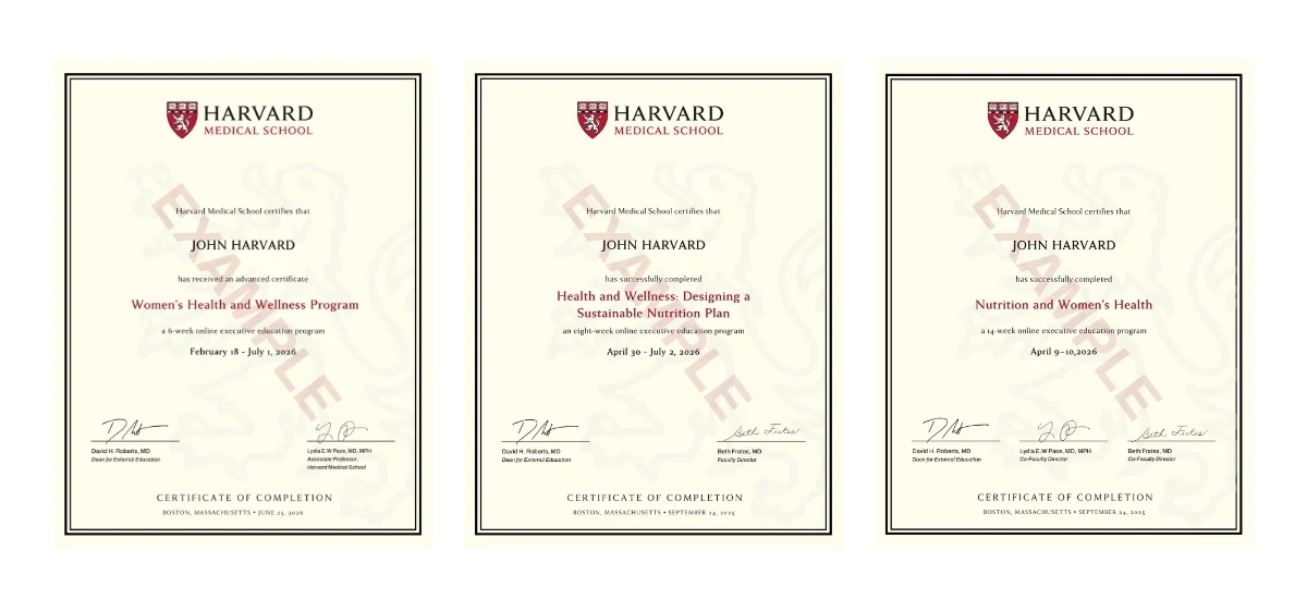 Example image of certificate that will be awarded once you successfully complete the course