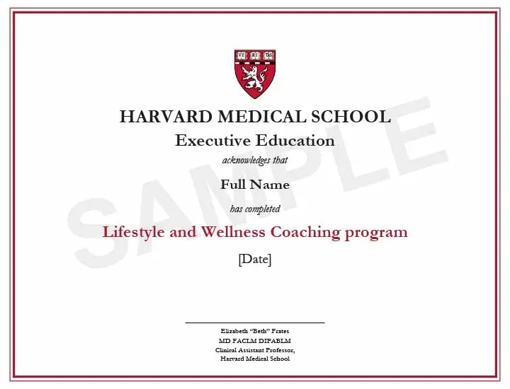 Example image of certificate that will be awarded upon successful completion of the program