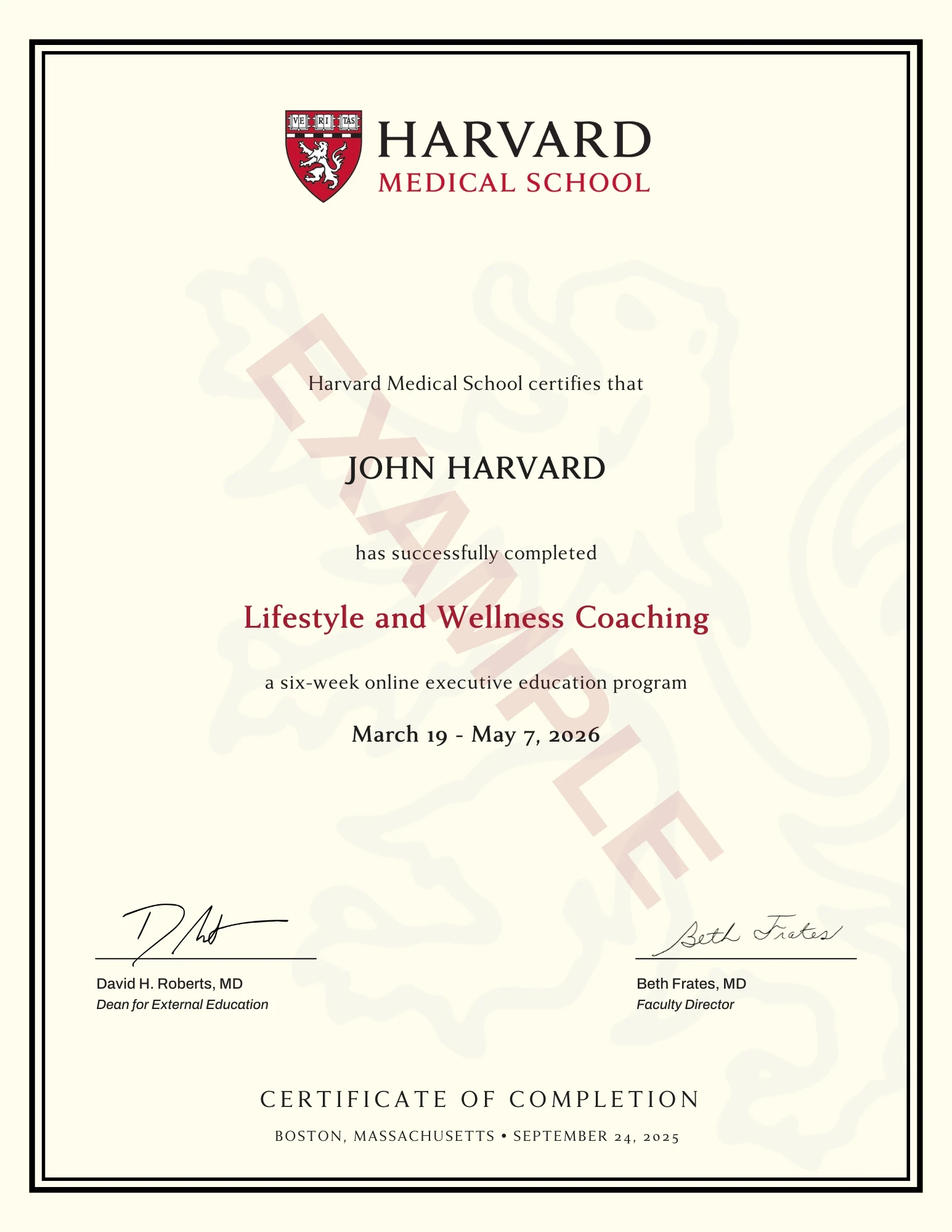 Example image of certificate that will be awarded upon successful completion of the program Example image of certificate that will be awarded upon successful completion of the program