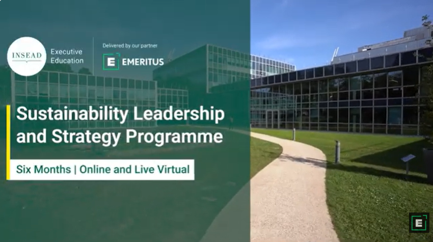 Sustainability Leadership and Strategy Programme