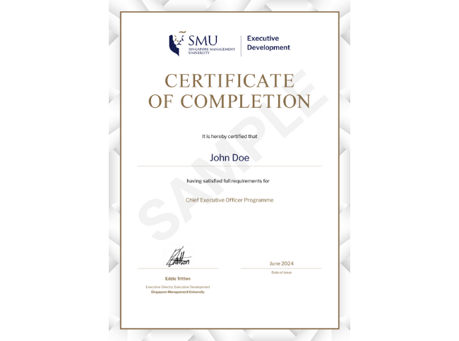 Example image of certificate that will be awarded after successful completion of this program