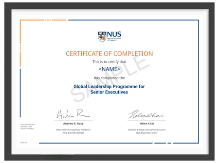 Programme Certificate