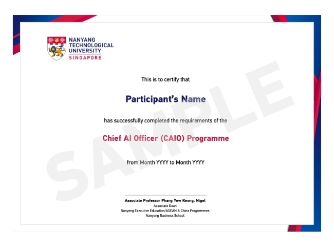 Programme Completion Certificate