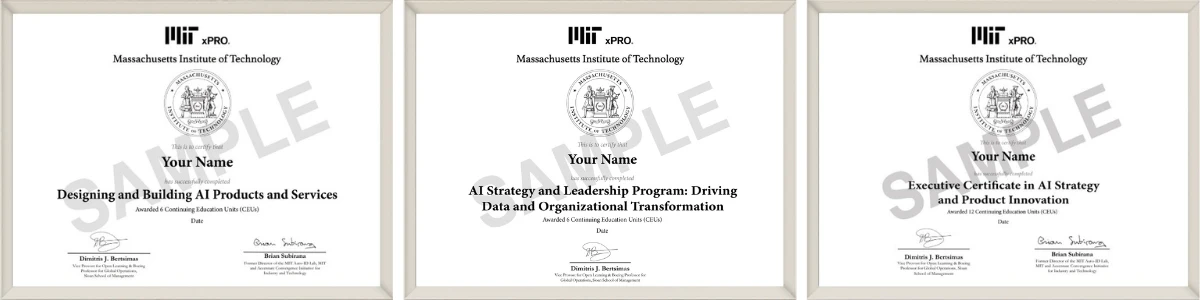 Example image of certificate of participation that will be awarded upon completion of the program