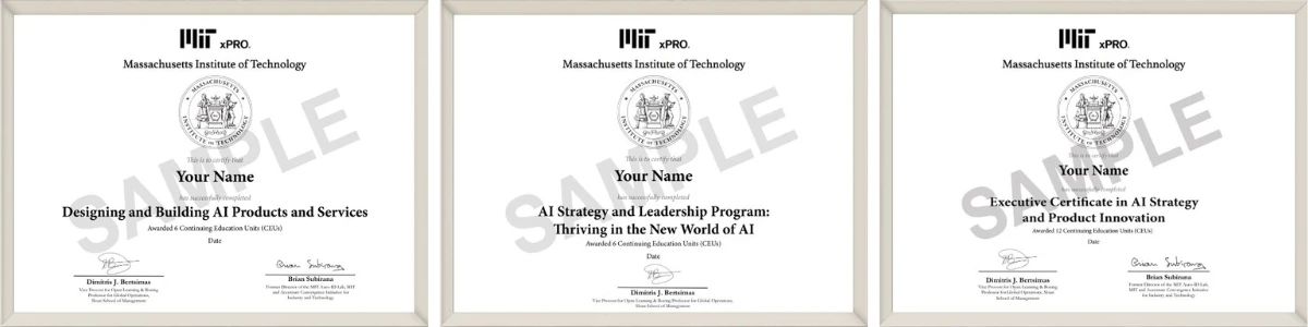 Example image of certificate of participation that will be awarded upon completion of the program