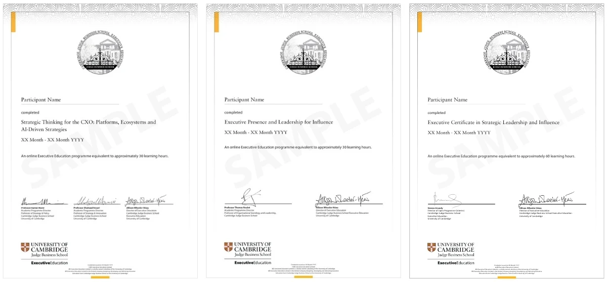 Example image of certificate of participation that will be awarded upon completetion of the programme