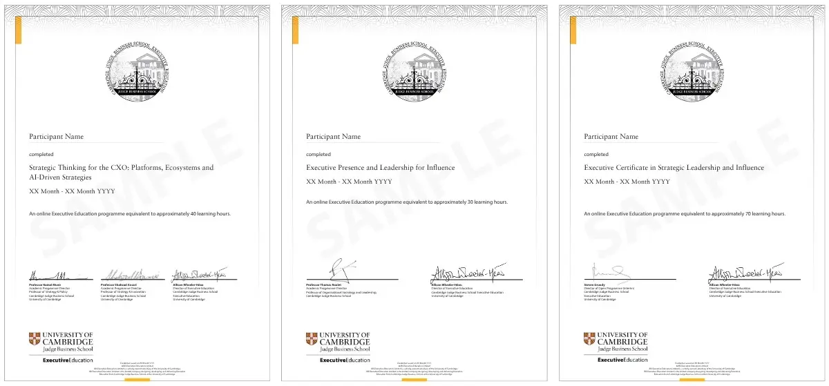 Example image of certificate of participation that will be awarded upon completetion of the programme 
