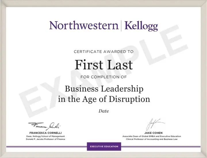 Example image of certificate that will be awarded once you successfully complete the programme