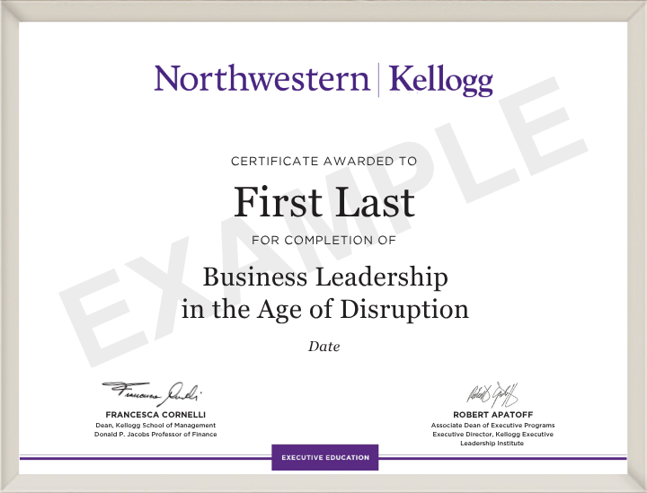 Example image of certificate that will be awarded once you successfully complete the programme