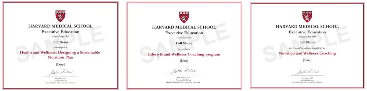 Example image of certificate that will be awarded once you successfully complete the course