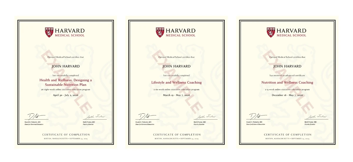 Example image of certificate that will be awarded once you successfully complete the course
