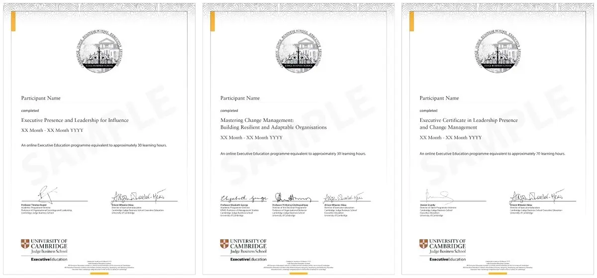 Example image of certificate of participation that will be awarded upon completetion of the programme
