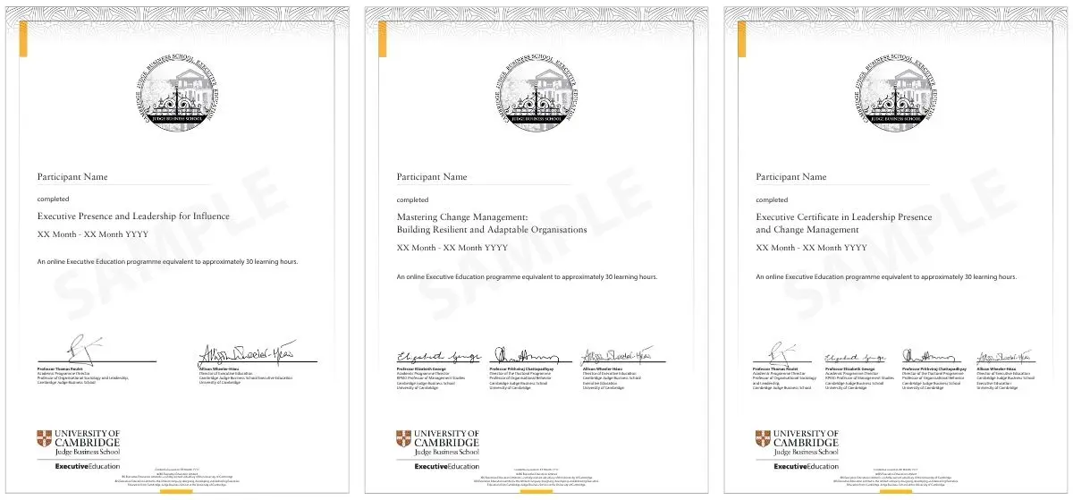 Example image of certificate of participation that will be awarded upon completetion of the programme