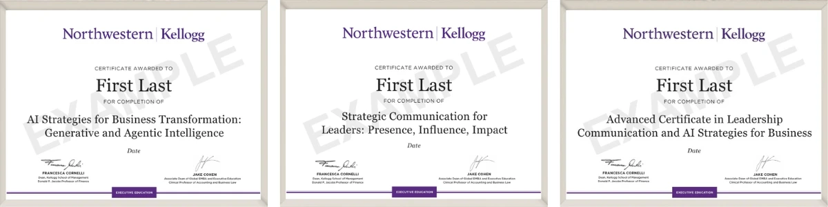 Example image of certificate of participation that will be awarded upon completetion of the program