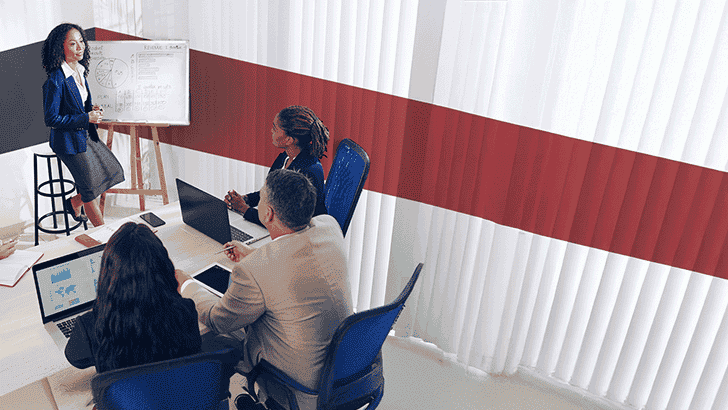 Revenue Analytics: Price Optimization