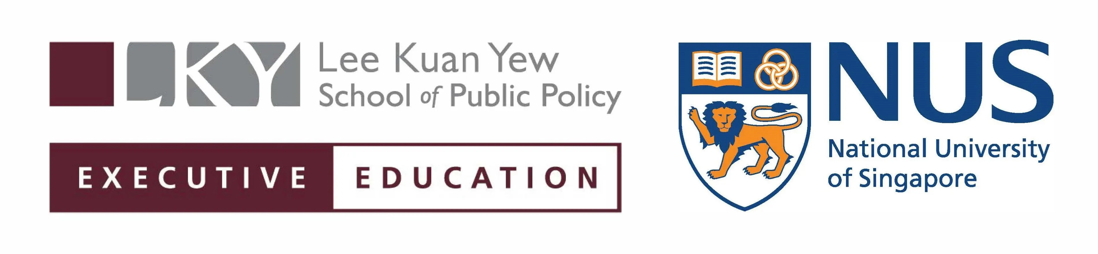 LP - NUS LKY Public Policy  - Secondary Logo - new