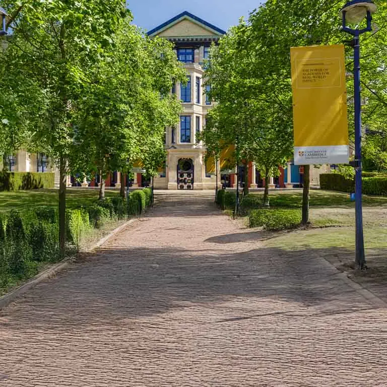 LP - CJ-CRO.SEPO - Hero Desktop