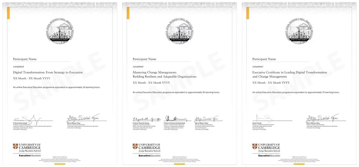 Example image of certificate of participation that will be awarded upon completetion of the programme