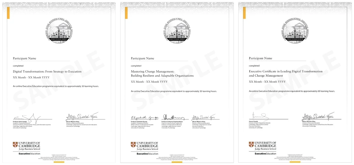 Example image of certificate of participation that will be awarded upon completetion of the programme
