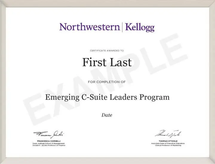 Emerging C-Suite Leaders Program Certificate