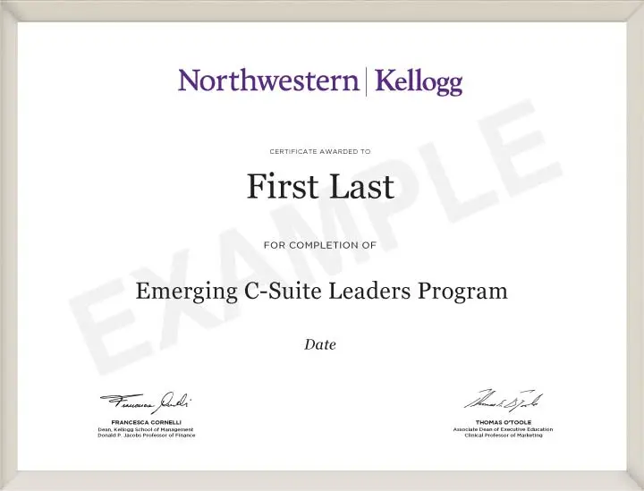 Emerging C-Suite Leaders Program Certificate
