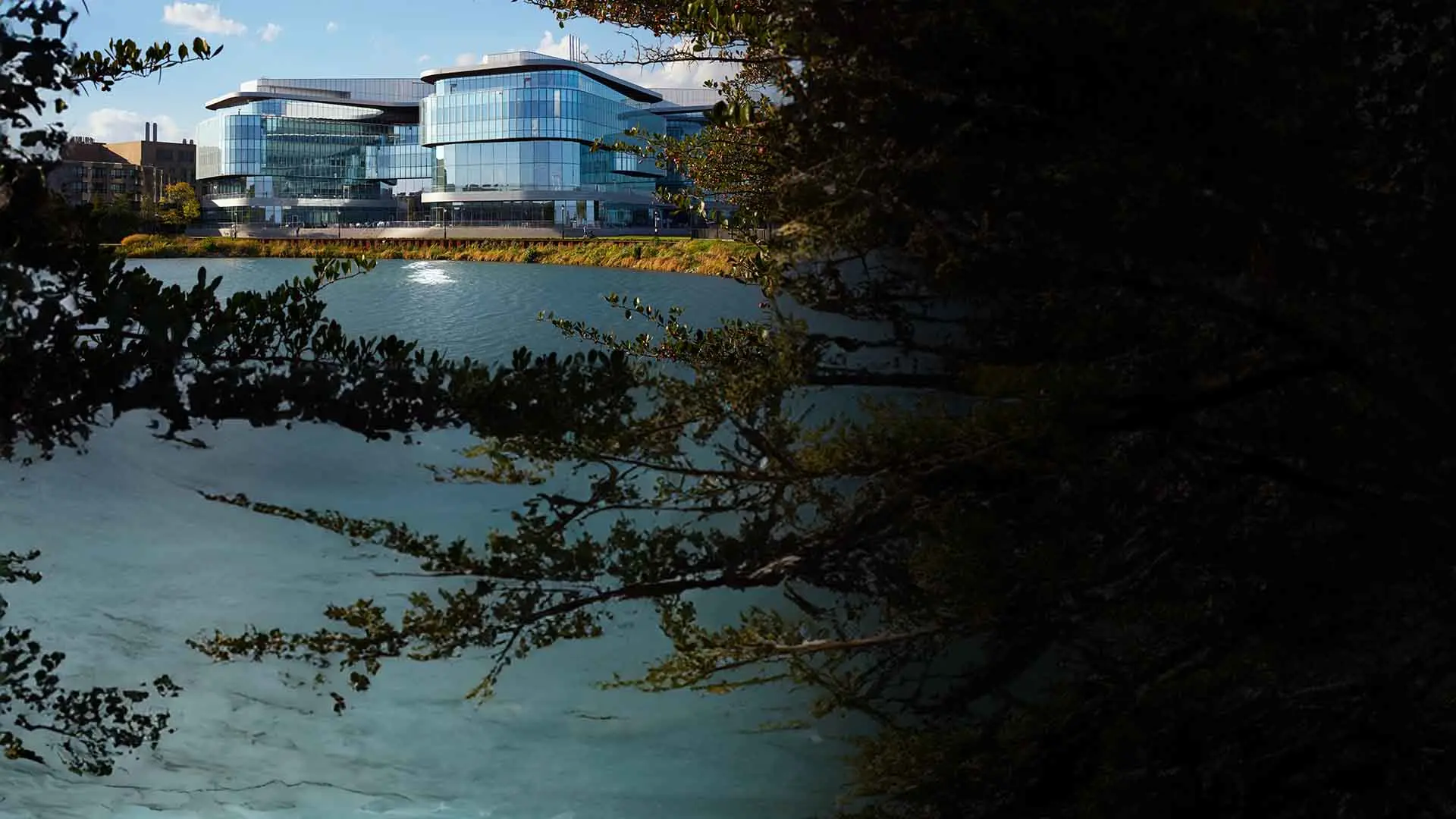 Cursos enInteligencia Artificial | Educaciòn Program  | Emeritus