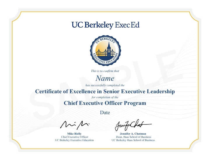Chief Executive Officer (CEO) Program | Berkeley Executive Education
