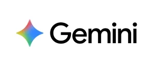 Tools Gemini 300x130