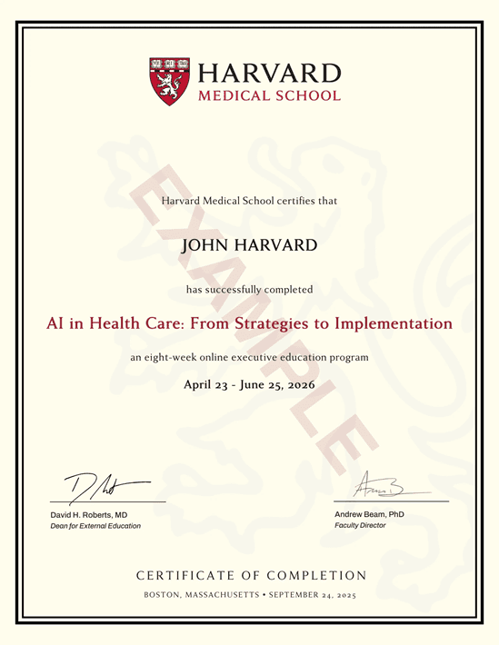 Example image of certificate that will be awarded upon successful completion of the program Decorative image relating to certificate of completion