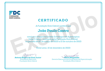 FDC-ESG - Certificado - SEO