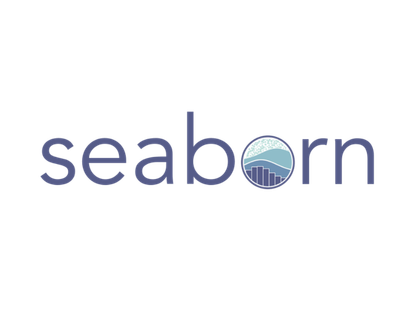 Seaborn logo representing programming tools used for machine learning and data science in the IIT Delhi Applied AI, ML and Decision Science Programme