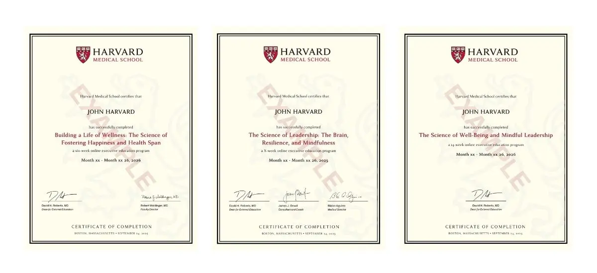 Example image of certificate that will be awarded once you successfully complete the course