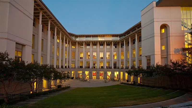 Faculty Insights and Learner Experiences