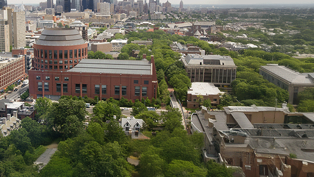 Wharton Executive Education’s Global C-Suite Program