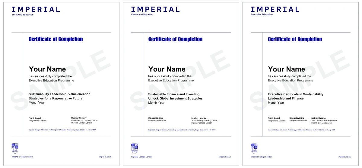 Example image of certificate of participation that will be awarded upon completetion of the programme 