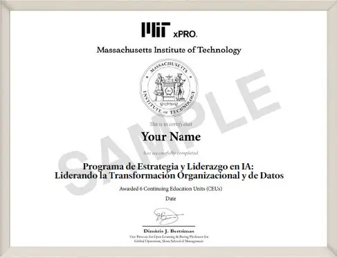 Imagen de ejemplo del certificado Imagen ilustrativa del certificado que recibirás al completar satisfactoriamente el programa
