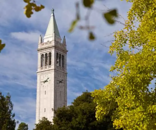 Berkeley Chief Executive Officer Program