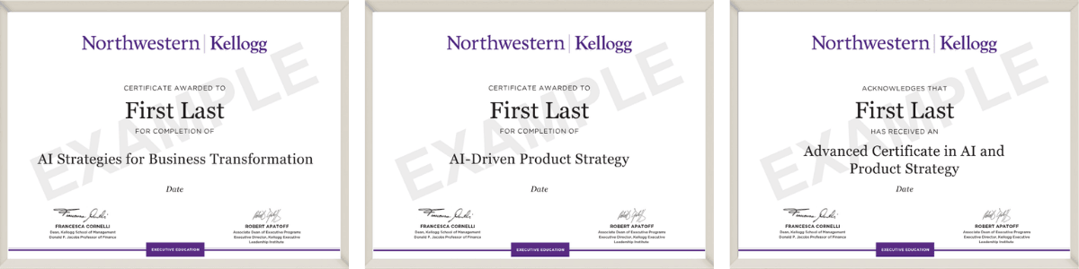 Example image of certificate that will be awarded upon successful completion of the program