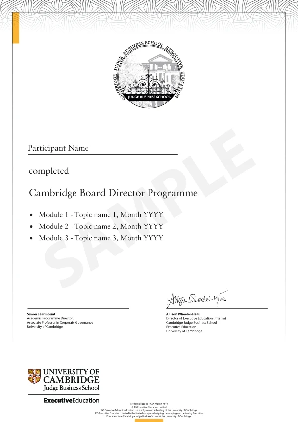 Example image of certificate of participation that will be awarded upon completion of the programme