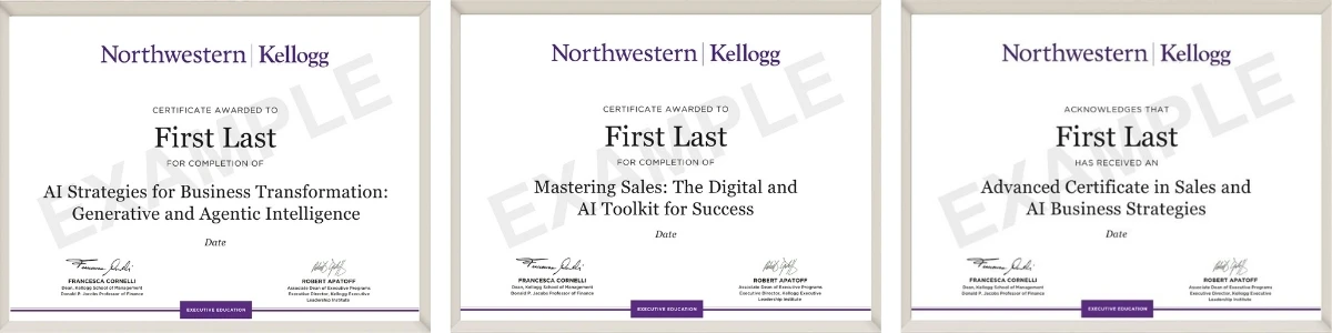 Example image of certificate of participation that will be awarded upon completetion of the program