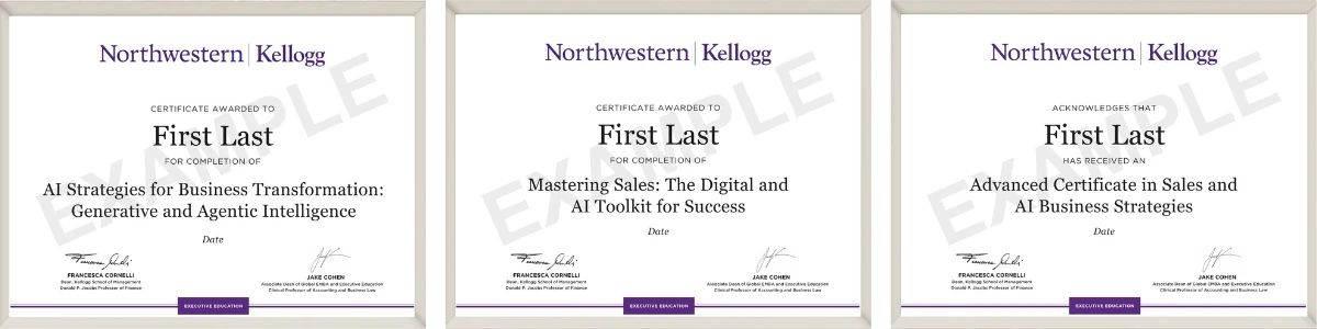 Example image of certificate of participation that will be awarded upon completetion of the program
