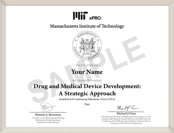 Example image of certificate that will be awarded upon successful completion of the program