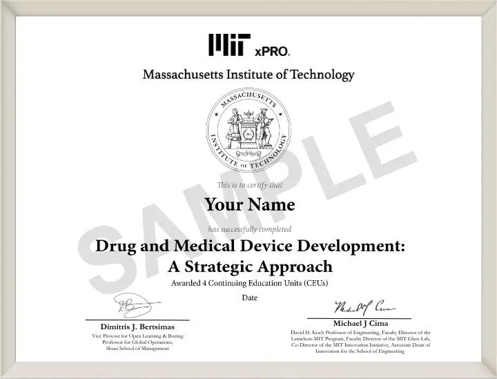 Example image of certificate that will be awarded upon successful completion of the program