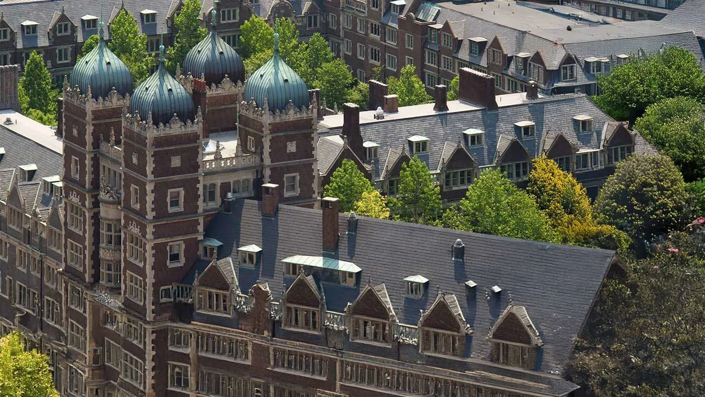 Chief Strategy Officer Program
