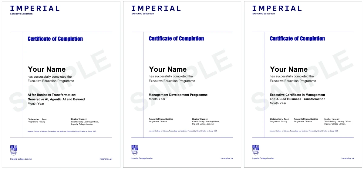 Example image of certificate of participation that will be awarded upon completetion of the programme