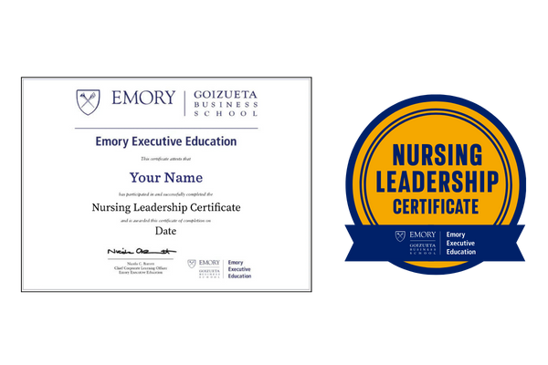 Example image of certificate that will be awarded after successful completion of this program