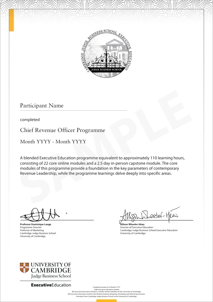 Example image of certificate of participation that will be awarded upon completetion of the programme 
