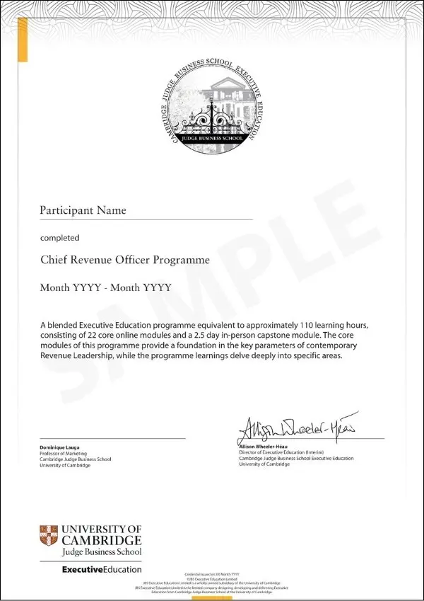 Example image of certificate of participation that will be awarded upon completetion of the programme 