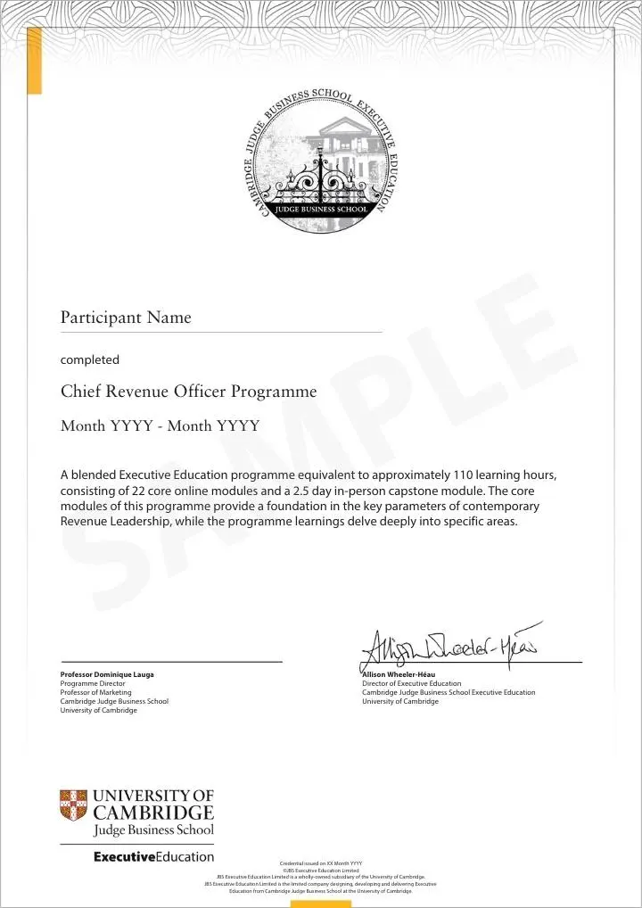 Example image of certificate of participation that will be awarded upon completetion of the programme